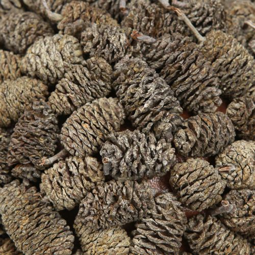 Artikel Erlenzapfen Deko Kugel zum Hängen Weiß gewaschen 20cm