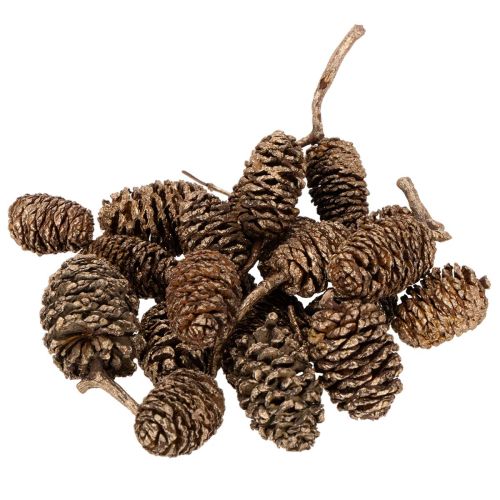 Erlenzapfen Naturprodukt Gold 3 cm 300 g für Dekoration und Basteln