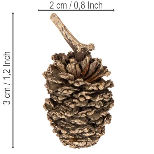 Erlenzapfen Naturprodukt Gold 3 cm 300 g für Dekoration und Basteln | Floristik24.ch