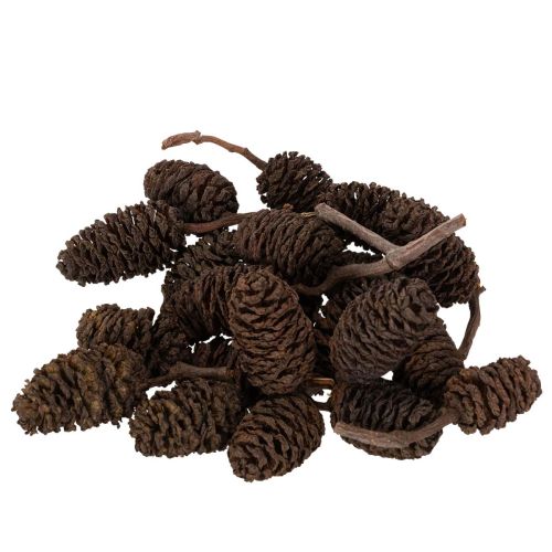 Erlenzapfen Naturbraun lose 300 g Holzdeko 3 cm