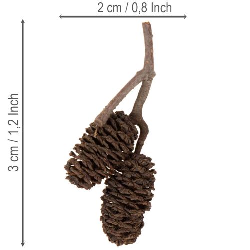 Erlenzapfen Naturbraun lose 300 g Holzdeko 3 cm | Floristik24.ch