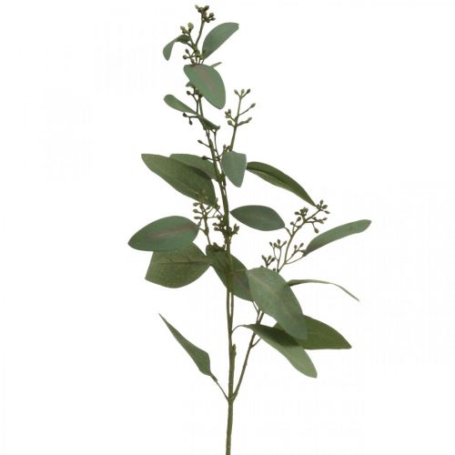 Floristik24 Künstlicher Eukalpyptus Zweig mit Knospen Dekozweig 60cm
