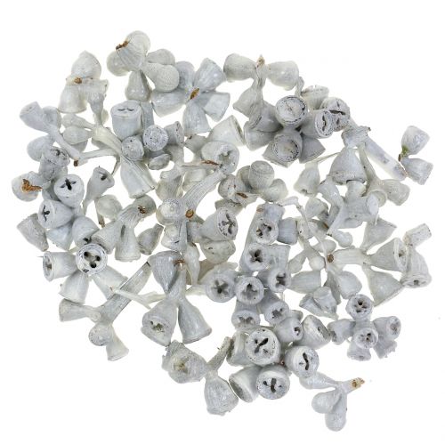Floristik24 Eukalyptus Früchte gewachst Weiß 250g
