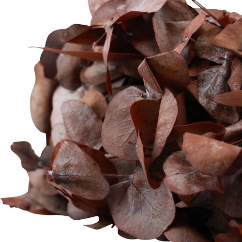 Floristik24 Eukalyptuskranz Naturkranz Eukalyptus Konserviert Rot Ø33cm