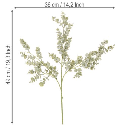Künstlicher Eukalyptuszweig 49cm Grün 4er Set | Floristik24.ch