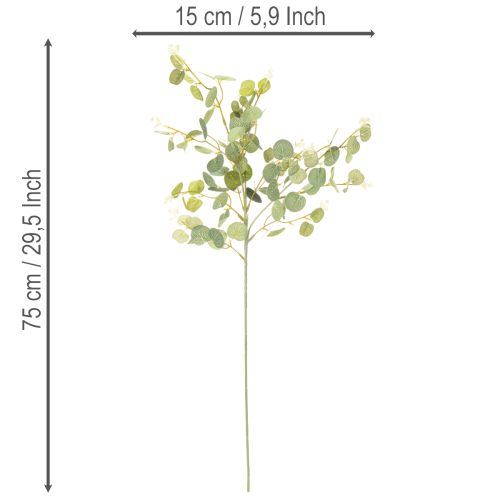 Künstlicher Eukalyptuszweig mit runden Blättern 75cm grün 4er-Set | Floristik24.ch