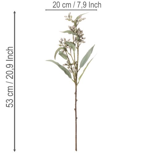 Künstlicher Eukalyptuszweig 3er Set 53cm Grün Kunststoff | Floristik24.ch