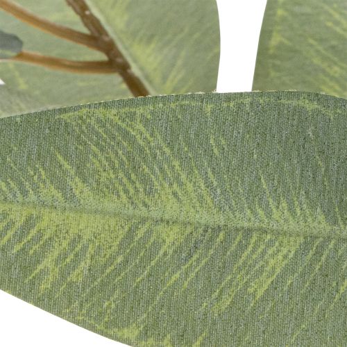 Künstlicher Eukalyptuszweig aus Kunststoff naturgrün 100cm für Innenbereich | Floristik24.ch