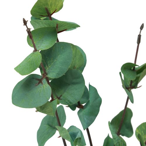 Artikel Eukalyptuszweig Künstlicher Eukalyptus Grün 64cm