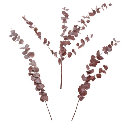 Artikel Eukalyptuszweige Eukalyptus konserviert Trockenblumen Rot 75cm 150g