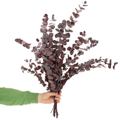 Artikel Eukalyptuszweige Eukalyptus konserviert Trockenblumen Rot 75cm 150g
