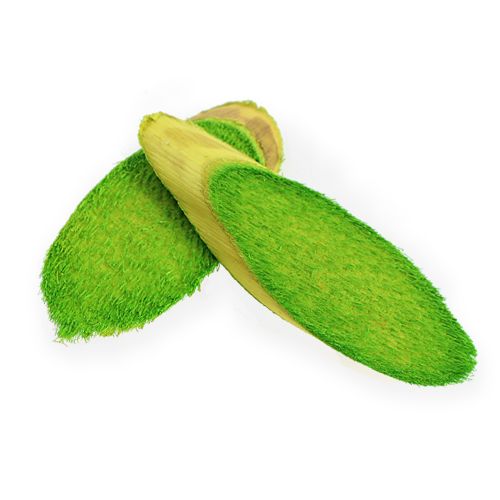 Floristik24 Deko-Holzscheiben Frühlingsgrün 300g