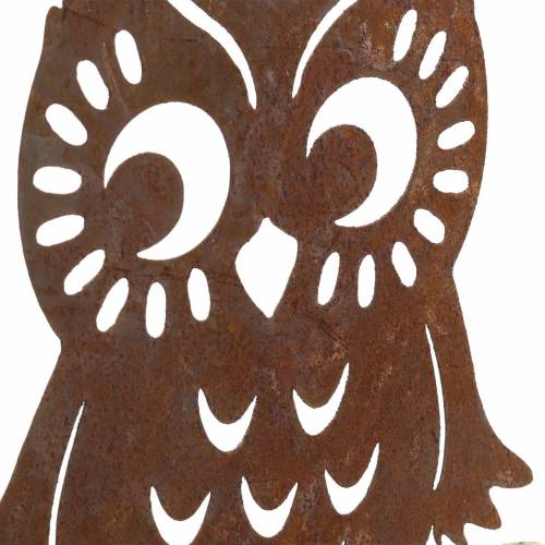 Floristik24 Eule Edelrost auf Birkenstamm 18cm x 17cm