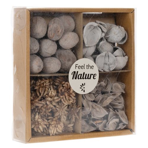 Potpourri Tischdeko mit Schalenfrüchten für natürliche Sommeratmosphäre | Floristik24.ch
