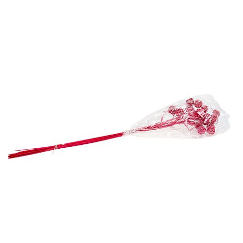 Floristik24 Fancy Ting Ting pink 25 St