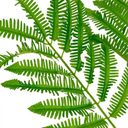 Artikel Farnblätter Grün, Farn 3 Blätter am Ast, Seidenpflanze L96cm