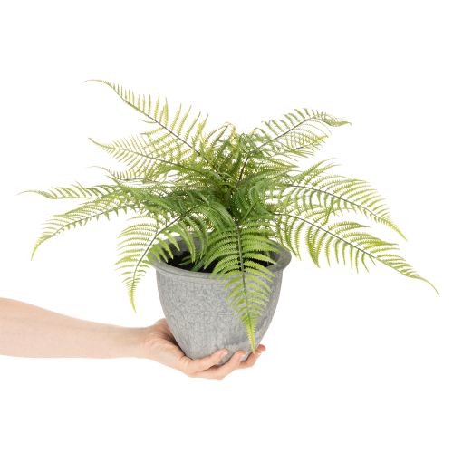 Künstlicher Farn im grauen Pflanztopf 35 cm Grün für Innenräume | Floristik24.ch