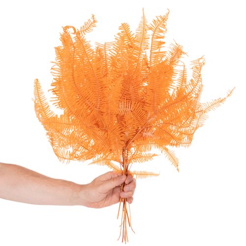 Konservierter Farnzweig Orange 60 cm Set mit 10 Stück | Floristik24.ch
