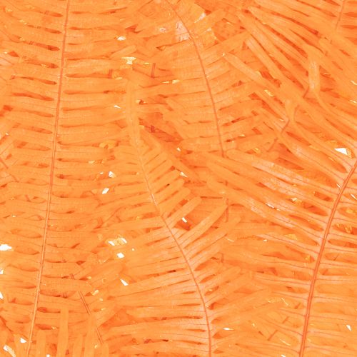 Konservierter Farnzweig Orange 60 cm Set mit 10 Stück | Floristik24.ch