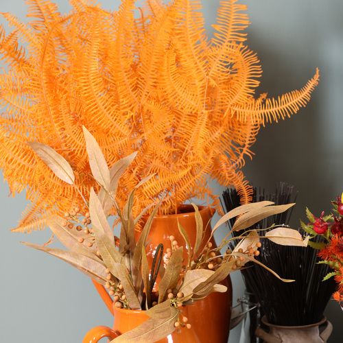 Artikel Konservierter Farnzweig Orange 60 cm Set mit 10 Stück