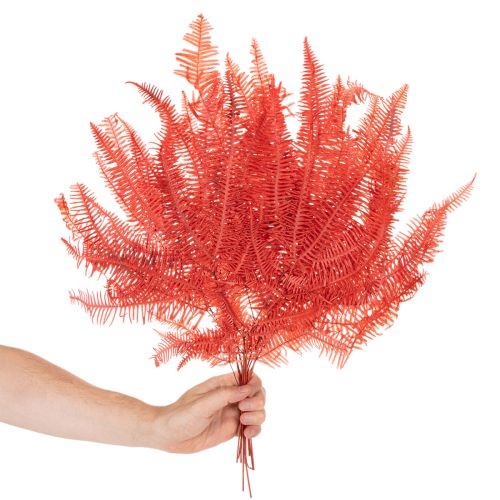Konservierter Farn Rot, Trockenblumen-Set, ca. 60 cm, 10 Stück | Floristik24.ch