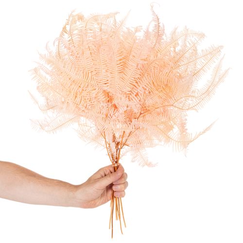 Getrocknete Farnwedel 60cm Rosa 10er-Set für Dekoration | Floristik24.ch