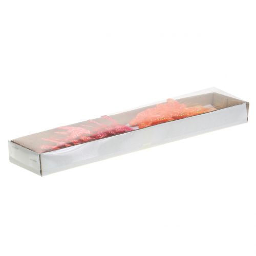 Floristik24 Federschmetterling Orange-Rot 5cm 24St