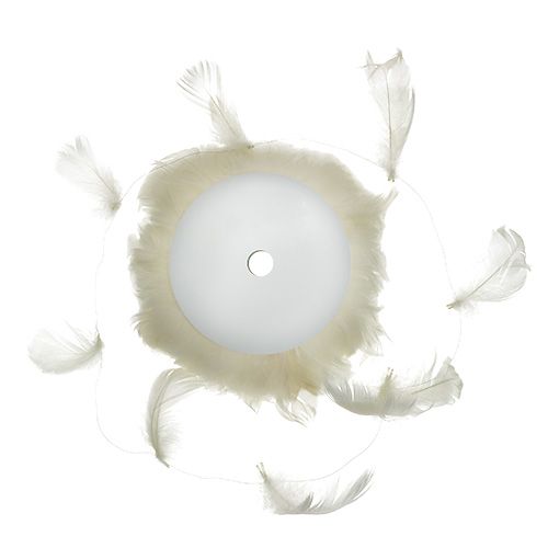 Floristik24 Feder am Draht Creme 10m