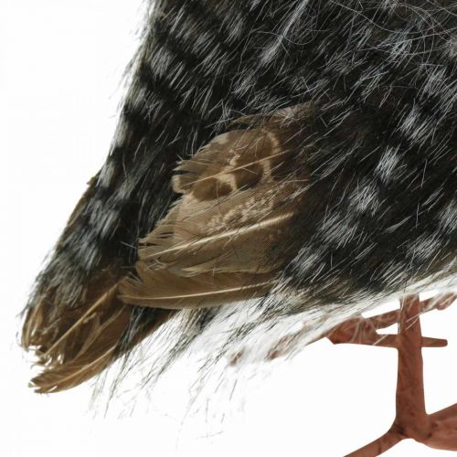 Floristik24 Kauz zum Dekorieren, Herbst, Deko-Vogel, Walddeko H21cm