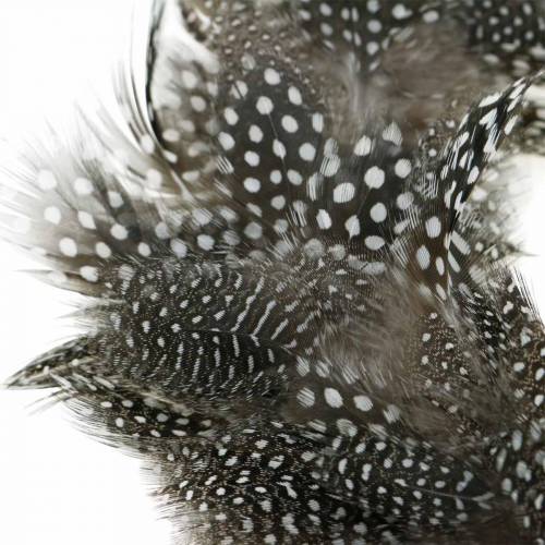 Floristik24 Federkranz Perlhuhn Echte Federn Ø35cm Osterdeko Frühlingsdeko