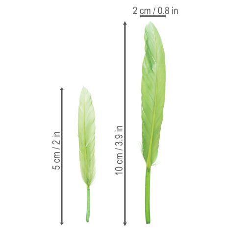 Artikel Dekorative Federn für stilvolles Ambiente und beeindruckende Dekorationen 10cm