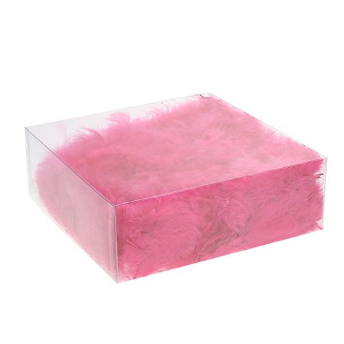 Floristik24 Federn kurz 30g Fuchsia