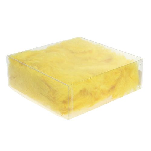 Floristik24 Federn kurz 30g Goldgelb