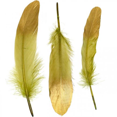 Artikel Federn zum Basteln Deko Federn Grün-Golden L16–20cm 24St