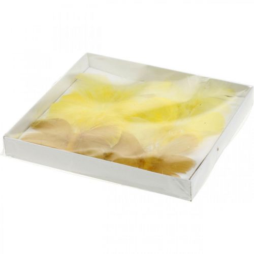 Floristik24 Deko-Schmetterlinge am Draht, Frühlingsdeko, Federschmetterlinge in Gelbtönen 6St