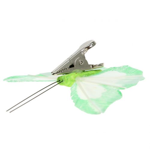 Floristik24 Federschmetterlinge am Clip bunt 7cm 12St