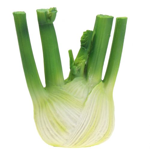 Fenchel 15cm