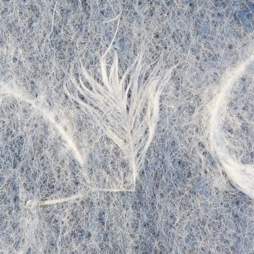 Floristik24 Filzband Wollband Dekostoff Blau Federn Wollfilz 15cm 5m