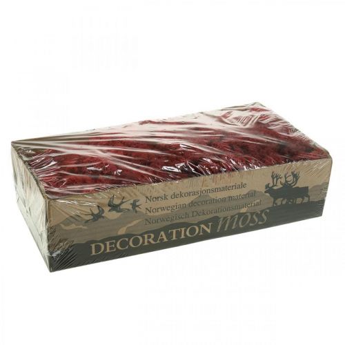 Floristik24 Deko-Moos Rot Bordeaux Islandmoos zum Basteln 400g