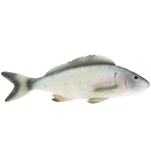 Floristik24 Deko Fisch Barsch L27,5cm