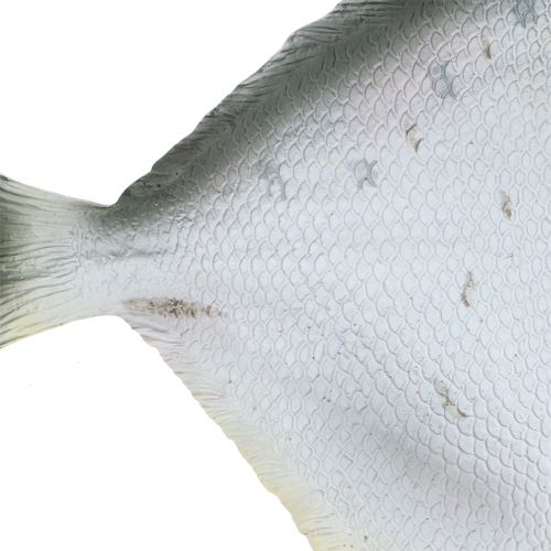 Floristik24 Deko Fisch L21cm