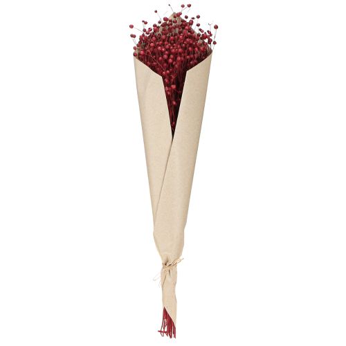 Flachs Bordeaux Rot