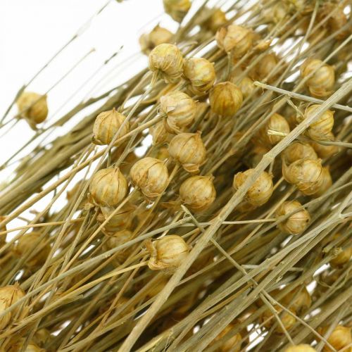 Flachs Natur Gräser für Trockenfloristik 100g
