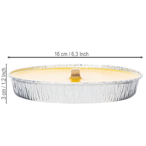 Floristik24 Citronella Duftkerze gegen Insekten Flammschale perfekt für Balkon Terrassen und Picknicks 16cm