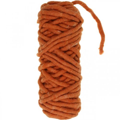 Filzkordel Wollkordel Filzschnur Schafwolle Jute Orange L30m