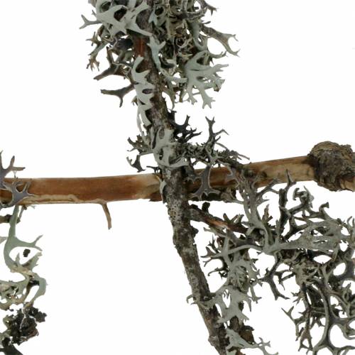Flechtenmoos Graumoos mit Zweigen 750g
