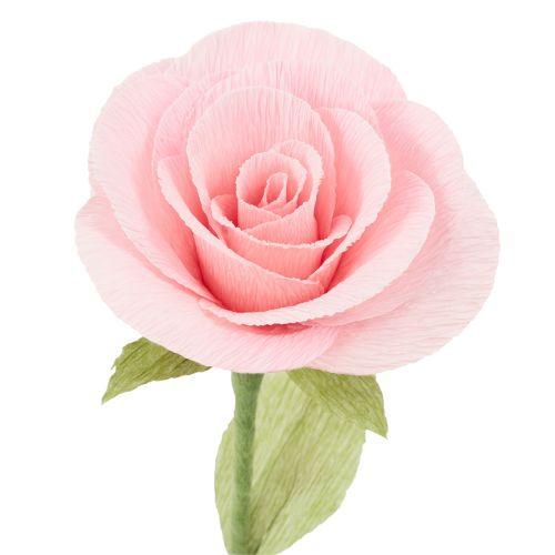 Artikel Floristen-Krepppapier Grasgrün 50x250cm