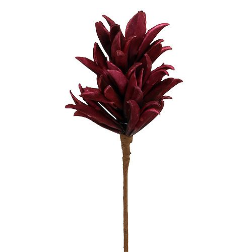 Floristik24 Foam Blüte Bordeaux 14cm L66cm