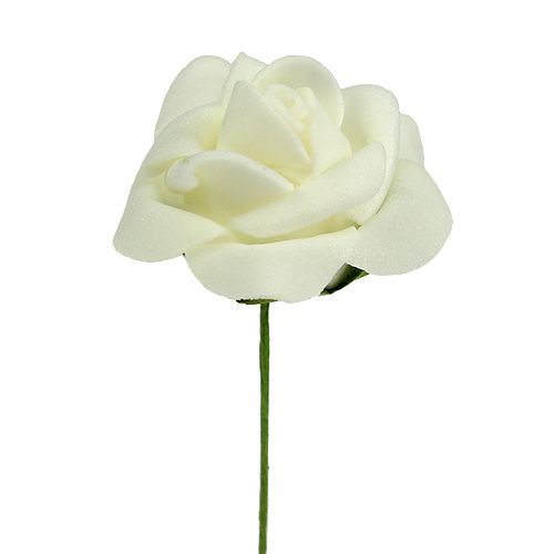 Foam Rose Ø3,5cm Creme 48 St | Floristik24.ch