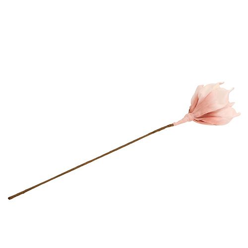 Floristik24 Foamblüte Magnolia Rosa Ø15cm L65cm
